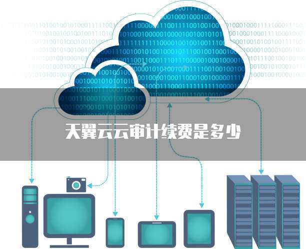 天翼云云审计续费是多少