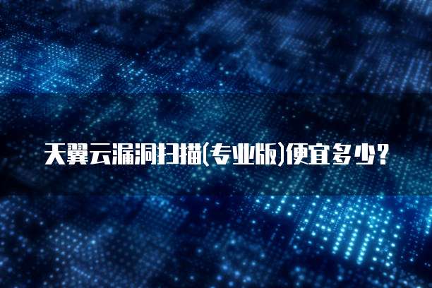 天翼云漏洞扫描(专业版)便宜多少？