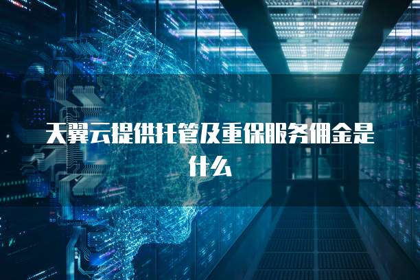 天翼云提供托管及重保服务佣金是什么