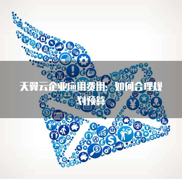 天翼云企业应用费用：如何合理规划预算