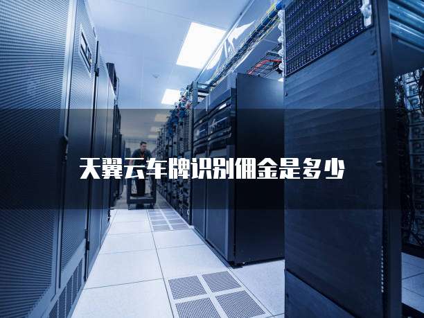 天翼云车牌识别佣金是多少