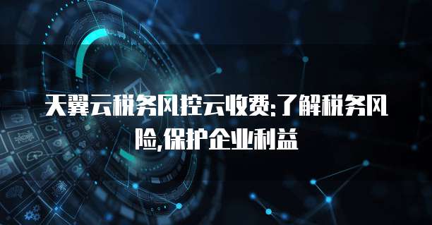 天翼云税务风控云收费:了解税务风险,保护企业利益