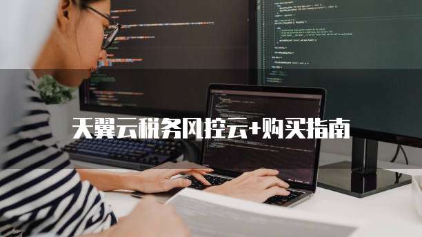 天翼云税务风控云+购买指南