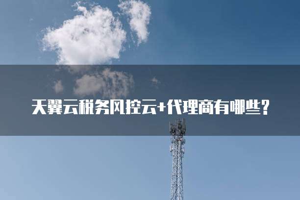 天翼云税务风控云+代理商有哪些?