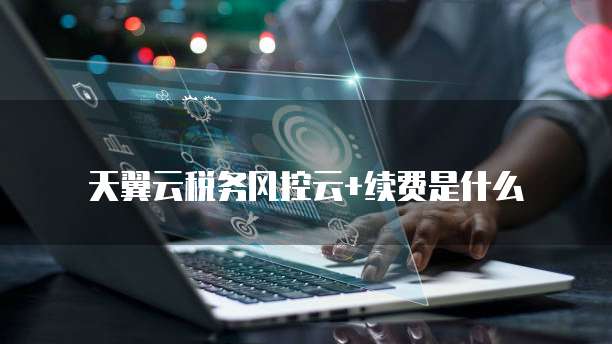 天翼云税务风控云+续费是什么