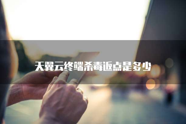 天翼云终端杀毒返点是多少