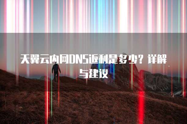 天翼云内网DNS返利是多少?详解与建议