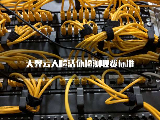 天翼云人脸活体检测收费标准