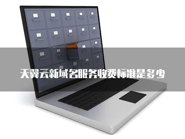 天翼云新域名服务收费标准是多少