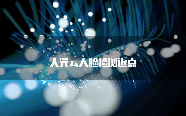 天翼云人脸检测返点