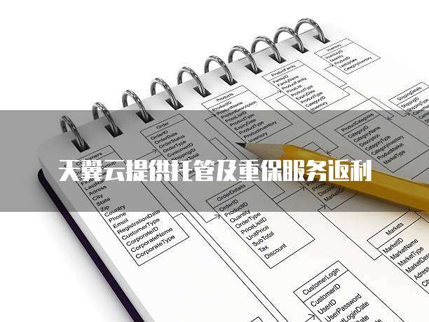 天翼云提供托管及重保服务返利