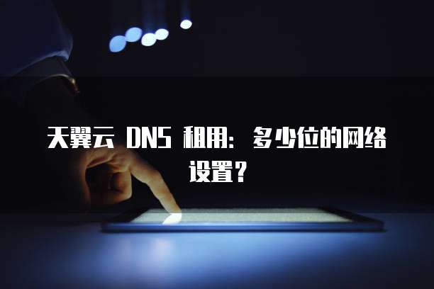 天翼云 DNS 租用:多少位的网络设置?