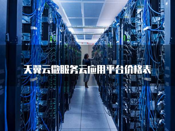 天翼云微服务云应用平台价格表