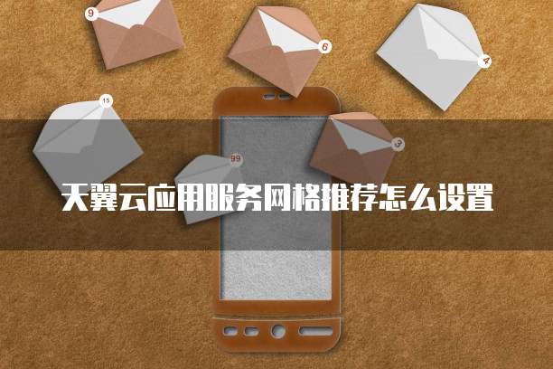 天翼云应用服务网格推荐怎么设置