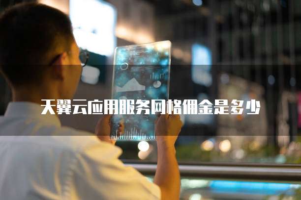 天翼云应用服务网格佣金是多少