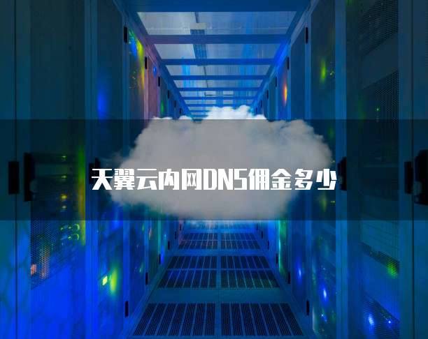 天翼云内网DNS佣金多少
