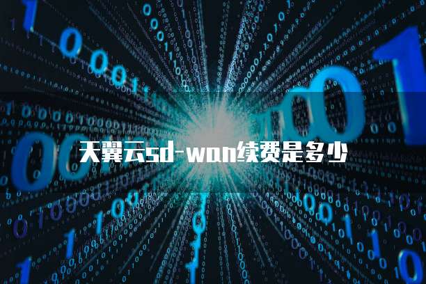 天翼云sd-wan续费是多少