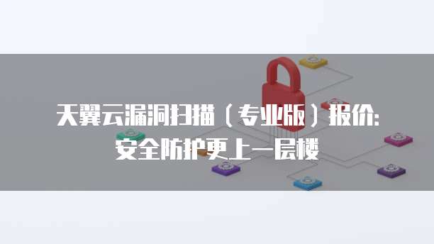 天翼云漏洞扫描(专业版)报价:安全防护更上一层楼