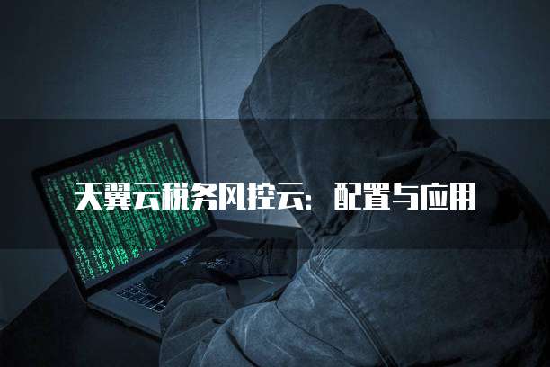 天翼云税务风控云:配置与应用