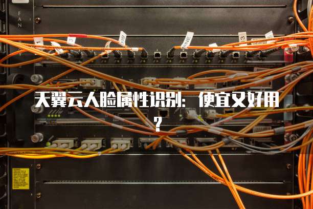 天翼云人脸属性识别:便宜又好用?