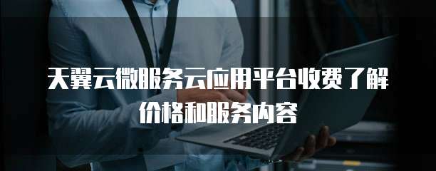 天翼云微服务云应用平台收费了解价格和服务内容