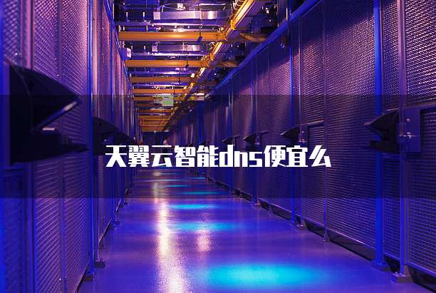 天翼云智能dns便宜么