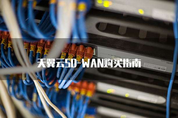 天翼云SD-WAN购买指南