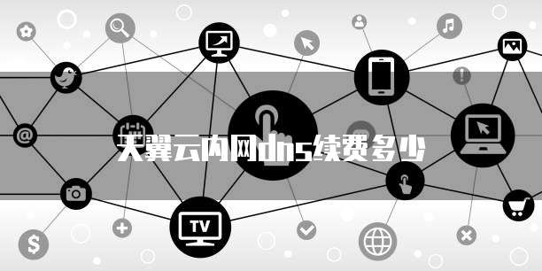 天翼云内网dns续费多少