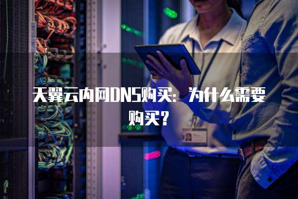 天翼云内网DNS购买:为什么需要购买?
