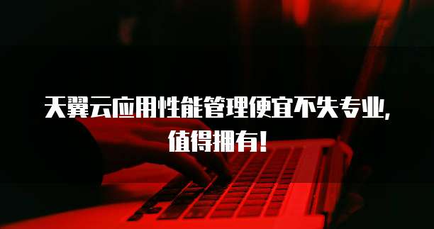 天翼云应用性能管理便宜不失专业,值得拥有!