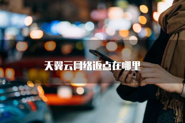 天翼云网络返点在哪里