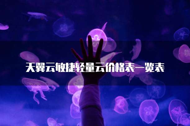 天翼云敏捷轻量云价格表一览表