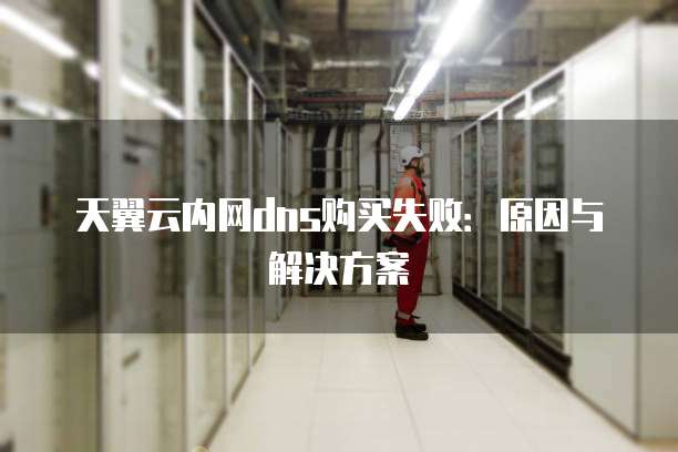天翼云内网dns购买失败:原因与解决方案