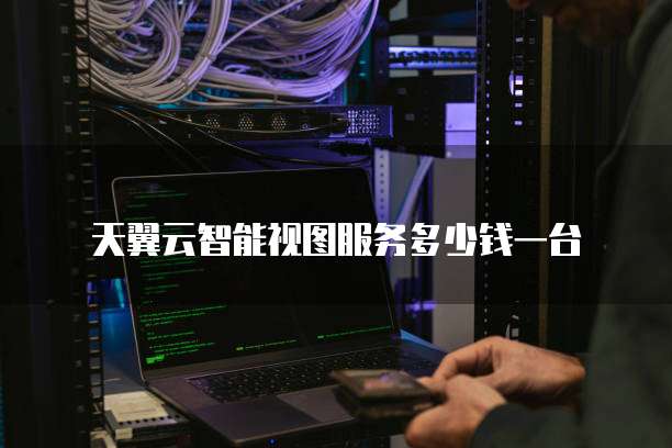 天翼云智能视图服务多少钱一台