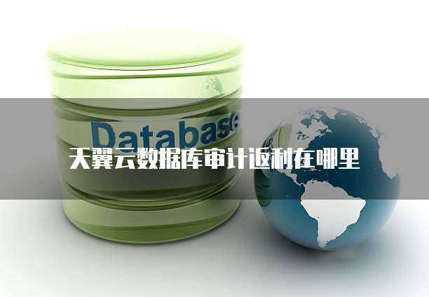 天翼云数据库审计返利在哪里