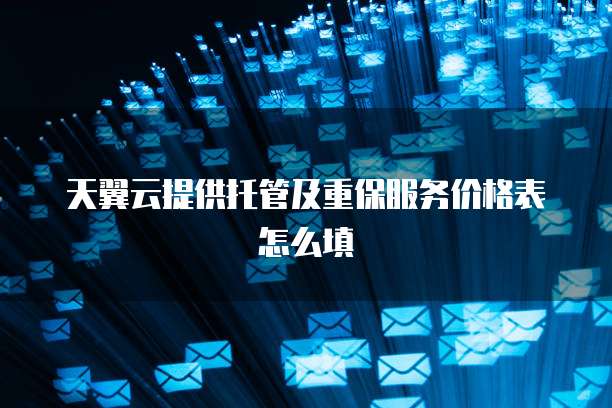 天翼云提供托管及重保服务价格表怎么填