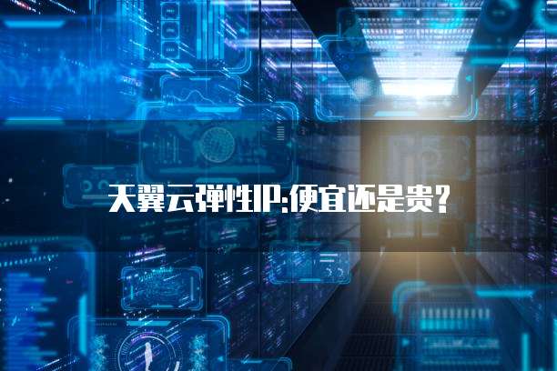 天翼云弹性IP:便宜还是贵?