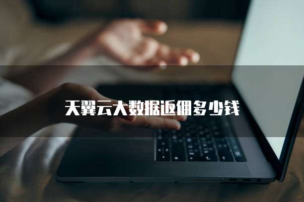 天翼云大数据返佣多少钱