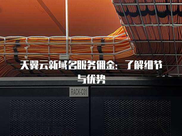 天翼云新域名服务佣金:了解细节与优势