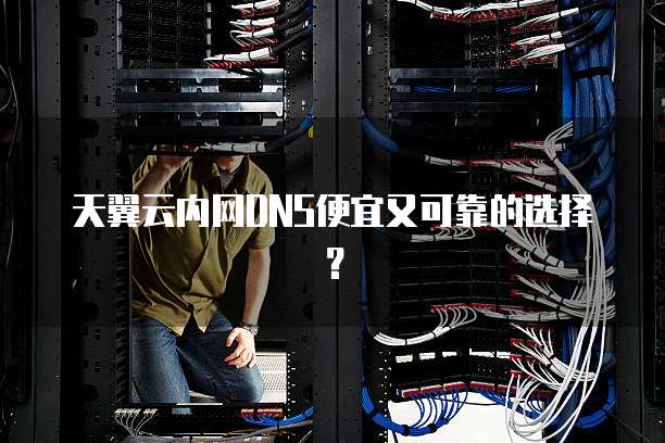 天翼云内网DNS便宜又可靠的选择?