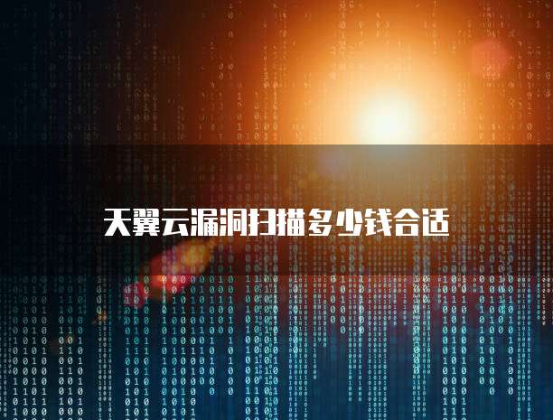 天翼云漏洞扫描多少钱合适