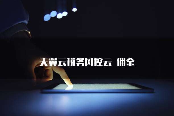天翼云税务风控云 佣金