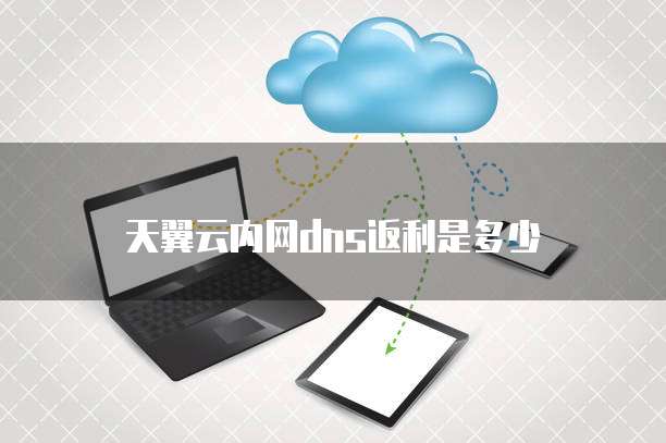 天翼云内网dns返利是多少