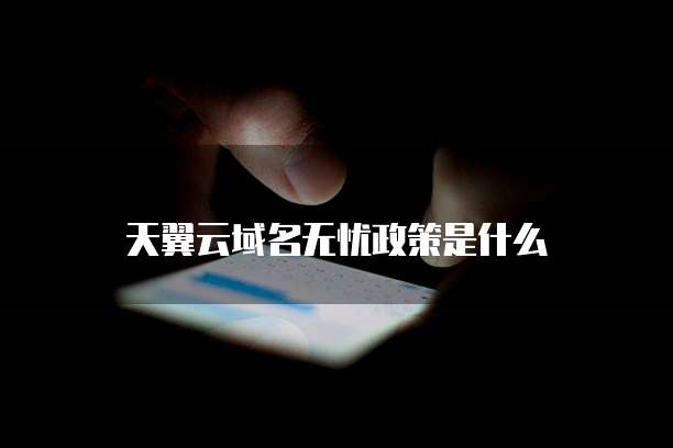 天翼云域名无忧政策是什么