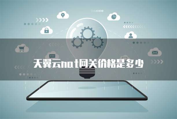 天翼云nat网关价格是多少