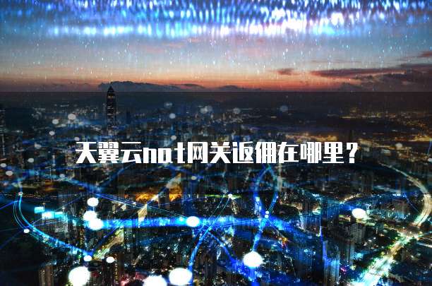 天翼云nat网关返佣在哪里?