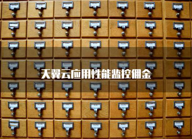 天翼云应用性能监控佣金