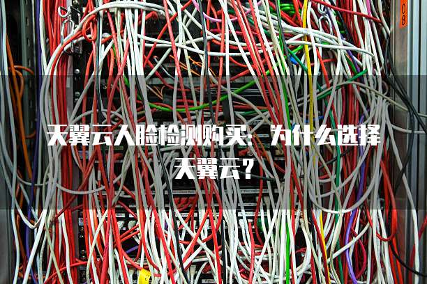 天翼云人脸检测购买:为什么选择天翼云?
