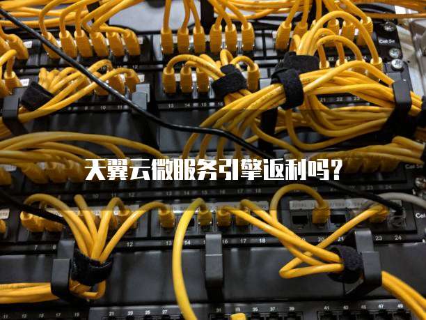 天翼云微服务引擎返利吗?