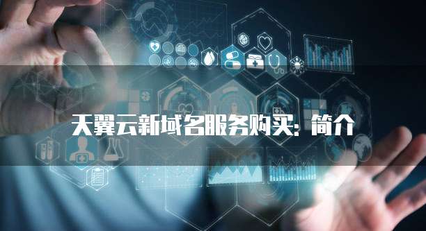 天翼云新域名服务购买: 简介